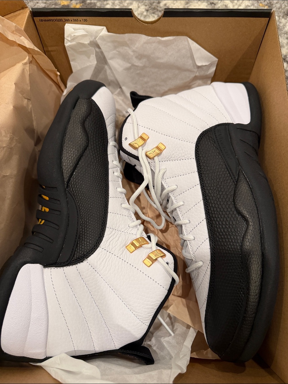 Jordan 12 retro